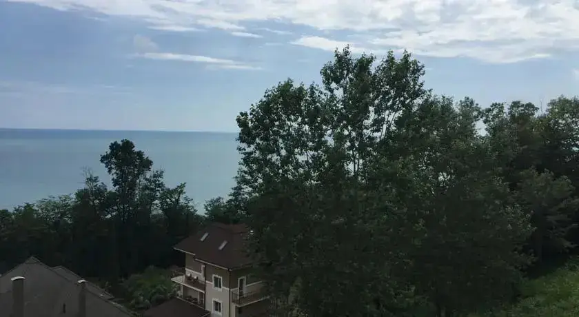 Сочи: Kavaletta
