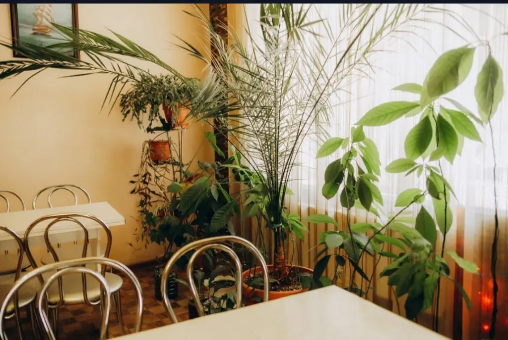 Феодосия: Malibu Hotel