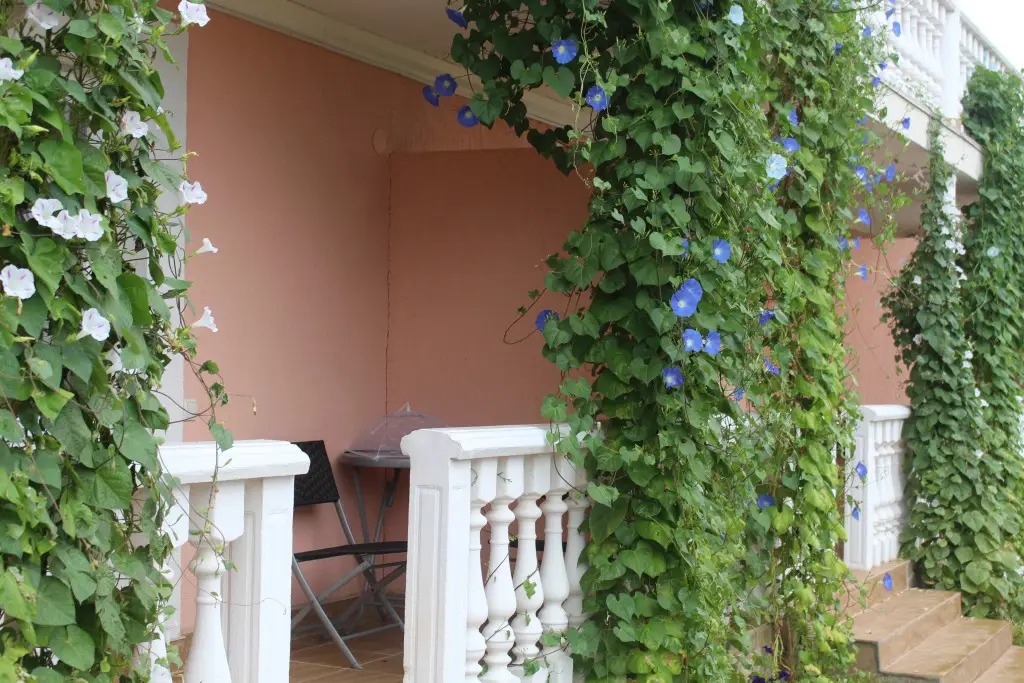 Севастополь: Elim Mini-Hotel
