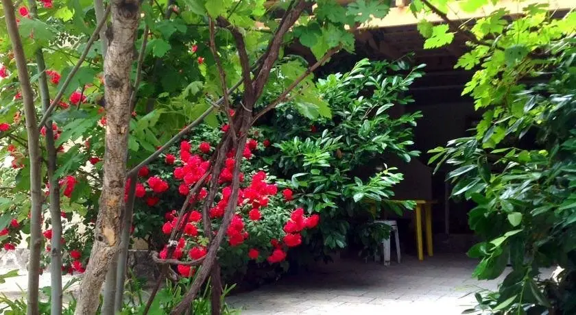 Коктебель: Belogorye Guest House