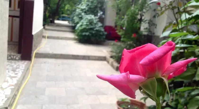 Коктебель: Belogorye Guest House