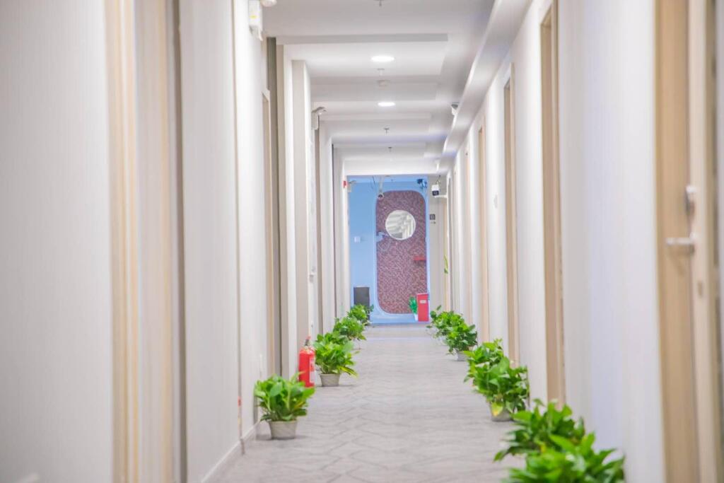 Нанкин: Hi Inn Nanjing Zhujiang Road Taiping Yanganfang