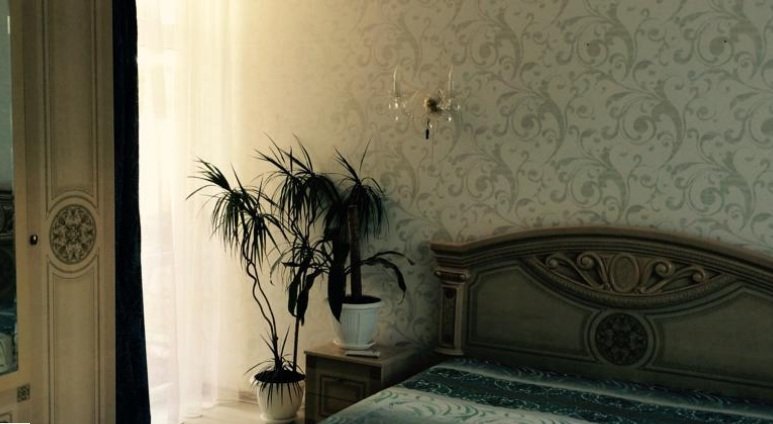 Алушта: Guest House Kollektivnaya Street