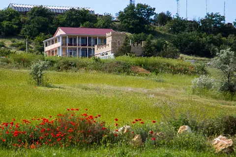 Salifornia Guest house — фото 1