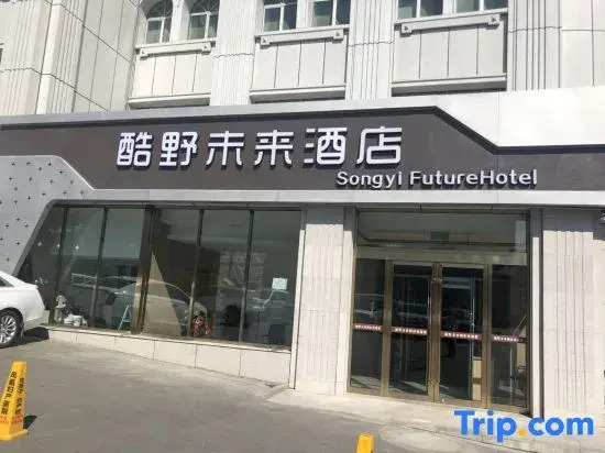 Урумчи: Songyi Future Hotel (Urumchi Airport)