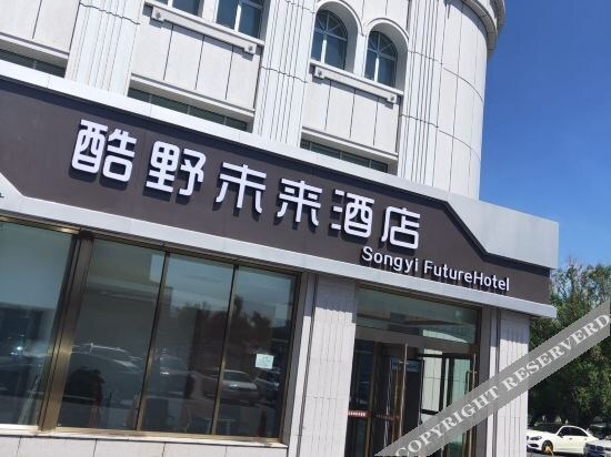 Урумчи: Songyi Future Hotel (Urumchi Airport)
