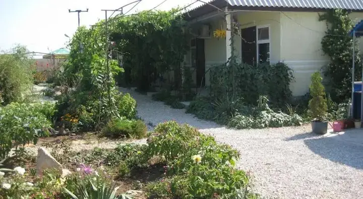 Заозерное: Бумеранг