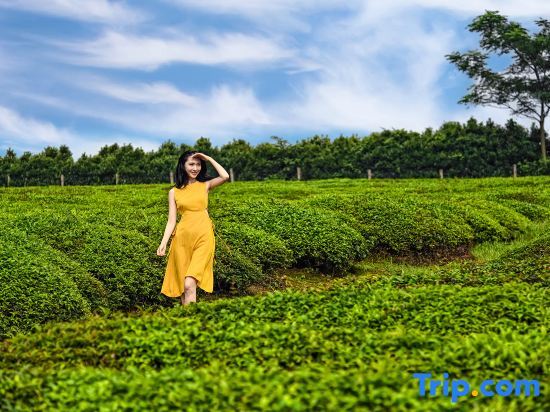 Уси: Liyang Nanshan Heyuan Kaiyuan Mingdu Resort