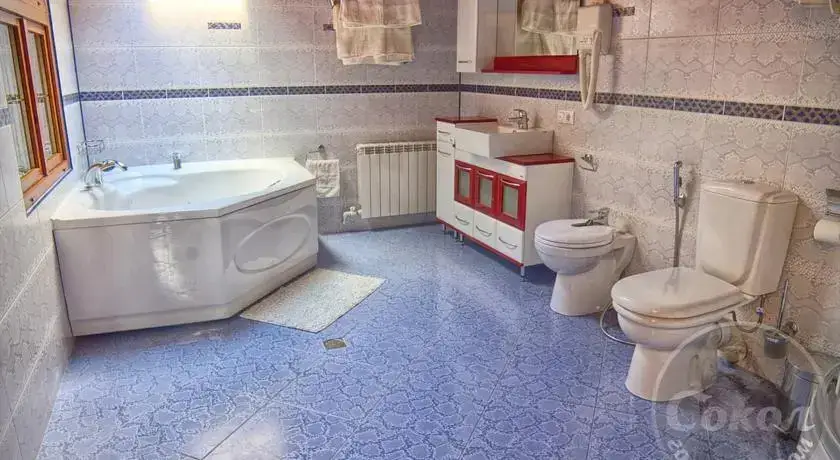 Ржев: Сокол