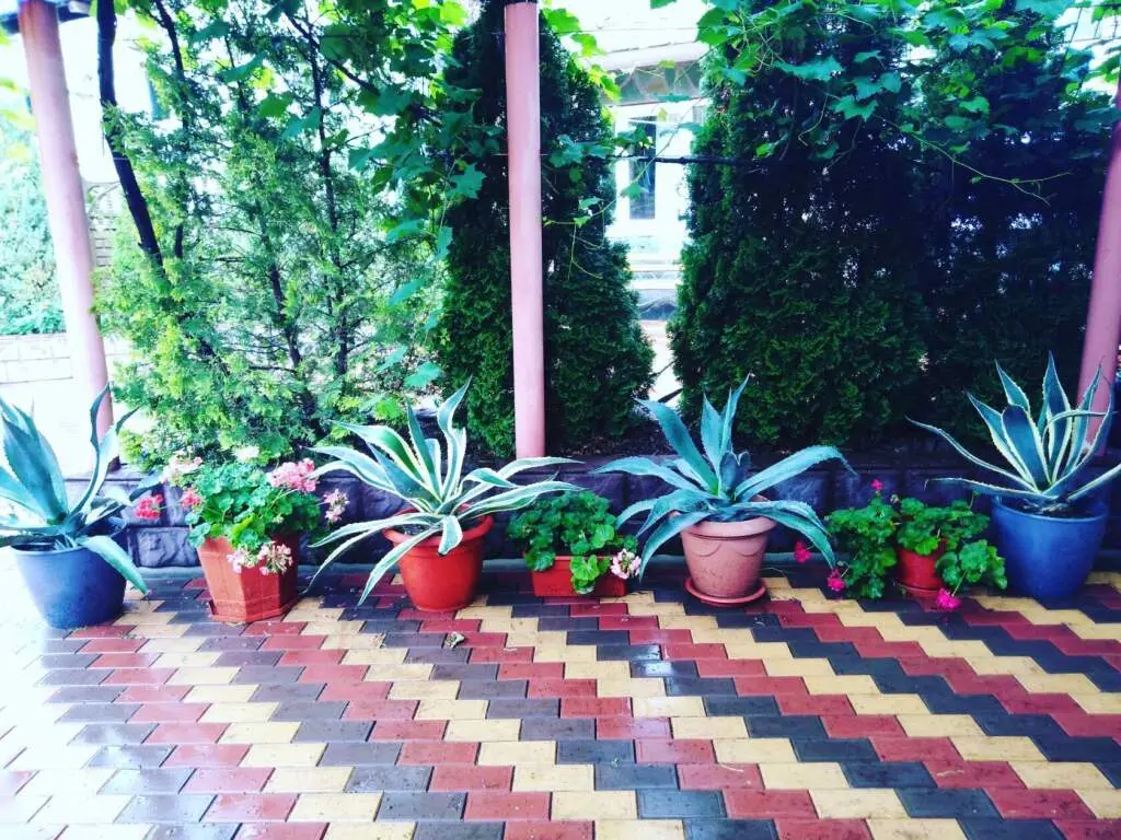 Лермонтово: Angelina Guest House