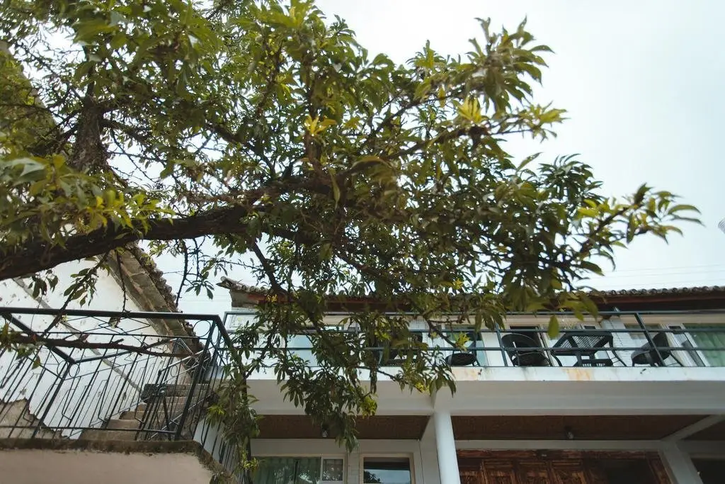 Дали: Dali Xizhou Nilv Spend Time Hostel