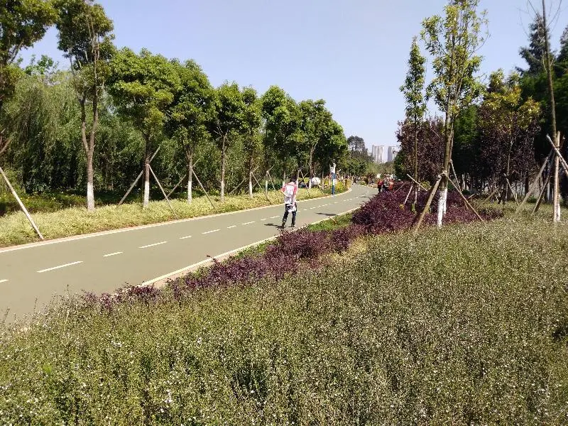 Куньмин: Kunming Resonance Point Youth Hostel