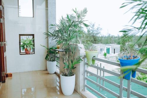 Донгхой: Sealand Homestay