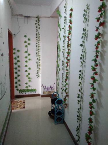 Шэньчжэнь: Migratory Bird Fly Hostel