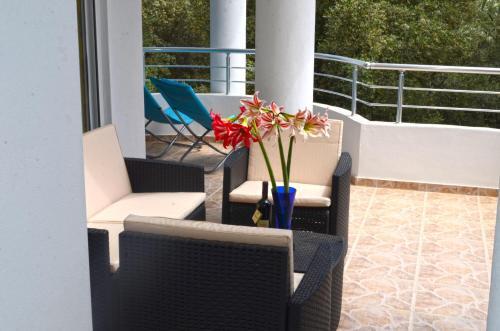 Ульцинь: Apartments Sirena