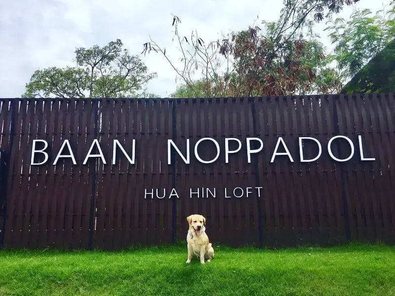 Хуахин: Baan Noppadol Hua Hin Loft Resort by OYO