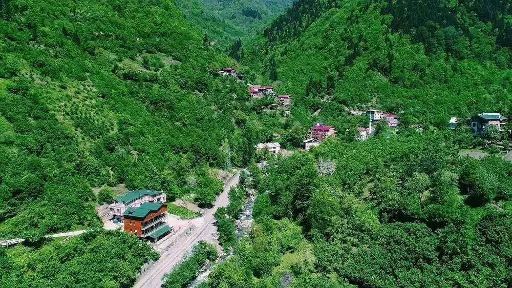 Борчка: Lapera Sopeli Pansiyon