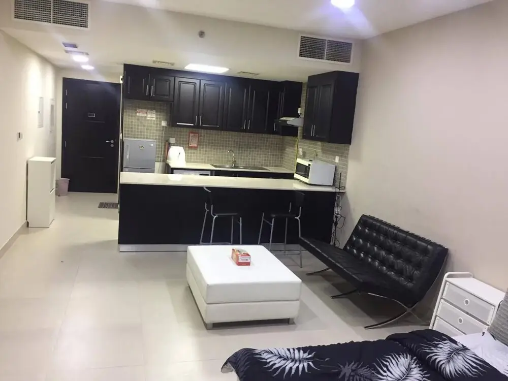 530 Sqft Studio Apartment With Balcony — фото 1