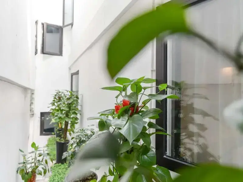 Шанхай: GreenTree Inn Shanghai Xujiahui Meiluo City 80,000 People Stadium Subway station Shell Hotel