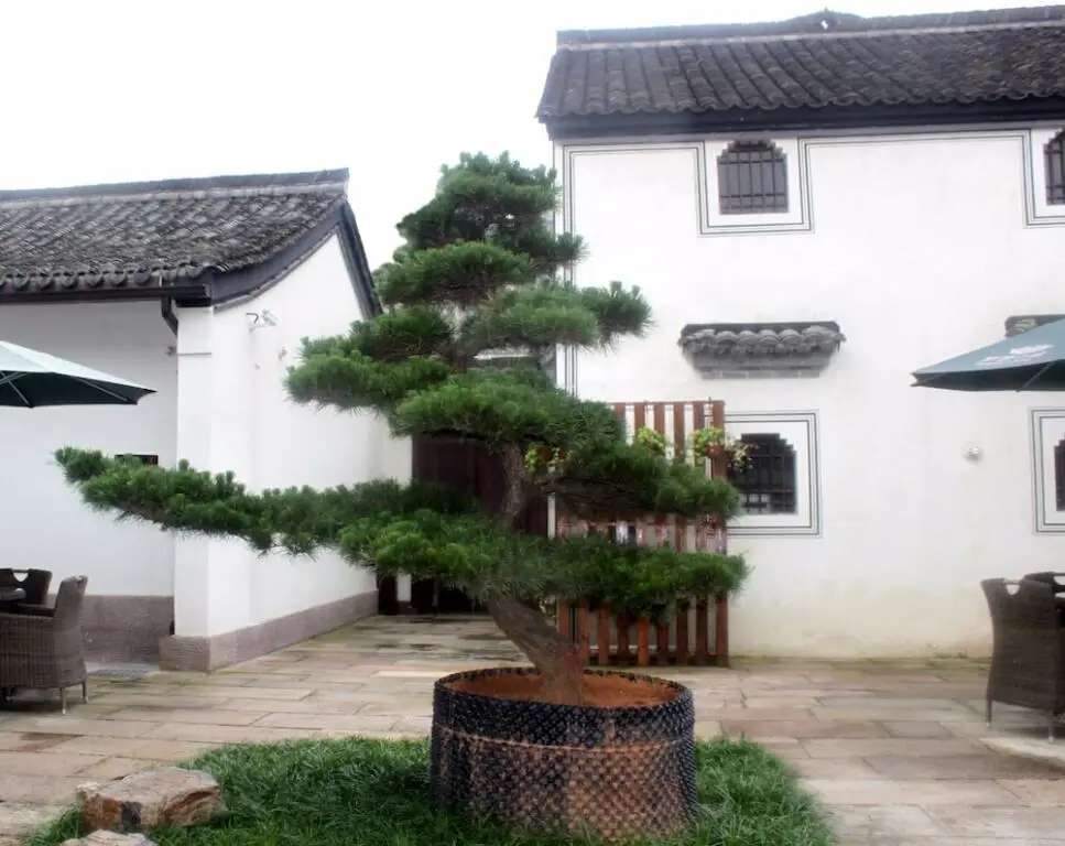 Courtyard-Lestay — фото 1