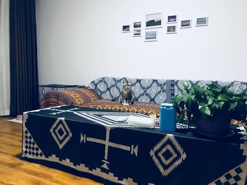 Hulunbuir Dream Horse Hostel — фото 1