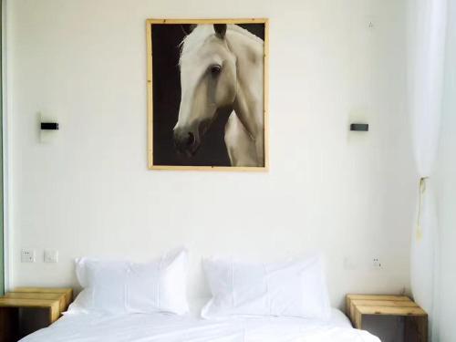 Дали: Island & Stars Hostel