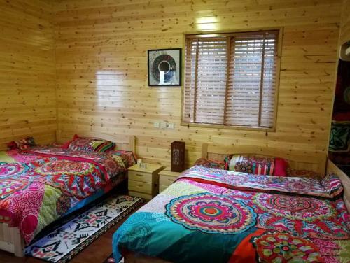 Куньмин: Shilin Zhuo Qie Hostel