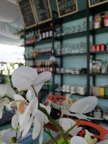 Гардзе: Ganzi Travel Grocery Youth Hostel