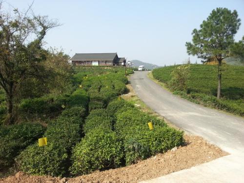 Red Lion Tea Farm — фото 1