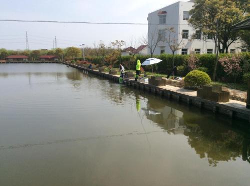 Шанхай: Chongming YangYangYang Farmstay