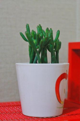Нанкин: Moments Homestay