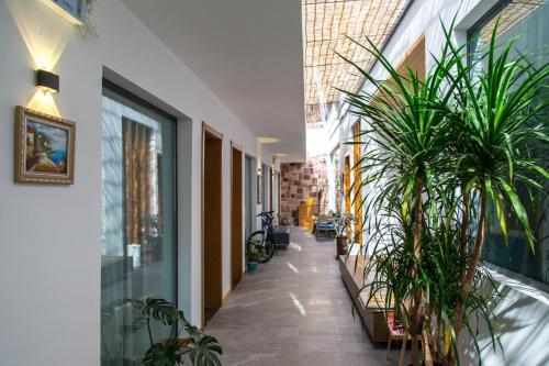 Сучжоу: Yansu Sport Culture Homestay