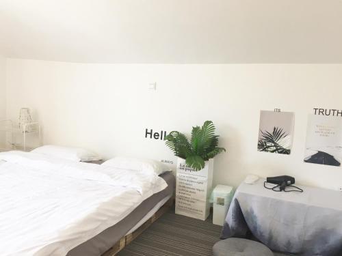 Чэнду: AOK Homestay