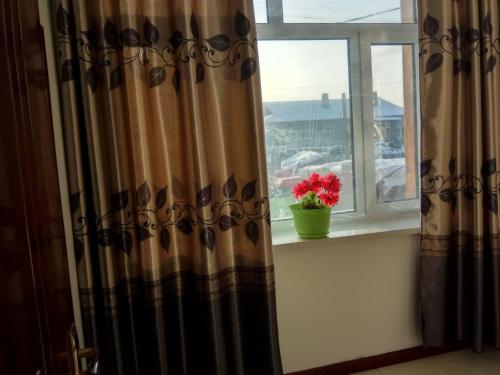 Бэйцзи: Little Time Family Homestay