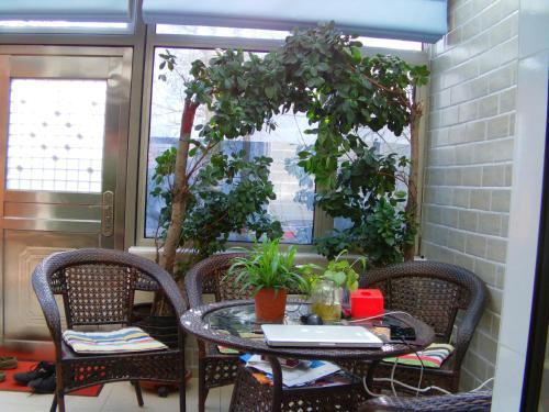 Пекин: Garden Homestay