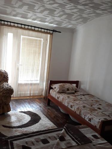 Плужине: Apartman Djodjic