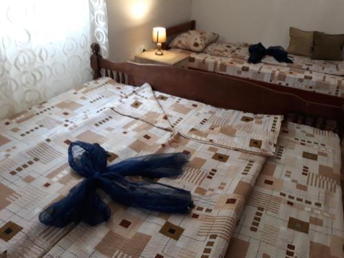 Плужине: Apartman Djodjic
