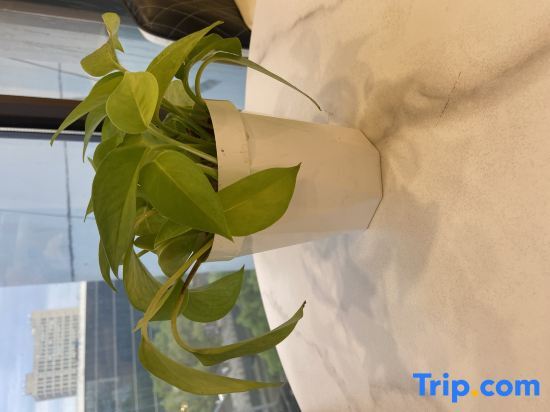 Шанхай: Thank U Hotels (Shanghai Jinshan Wanda)