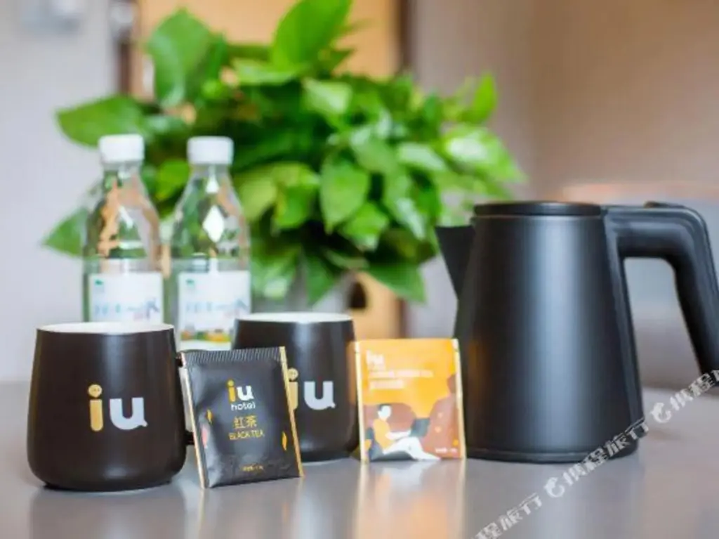 Дуюн: iu Hotel (Duyun Grand Cross Shiban Street)