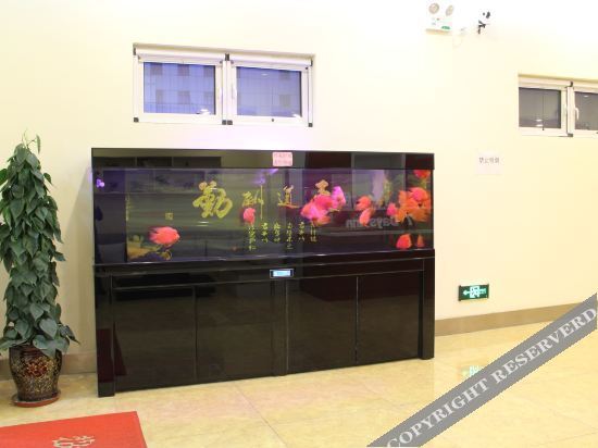 Тяньцзинь: 7 days hotel chain (Caozhuang subway station, Tianjin Jiaotong University)