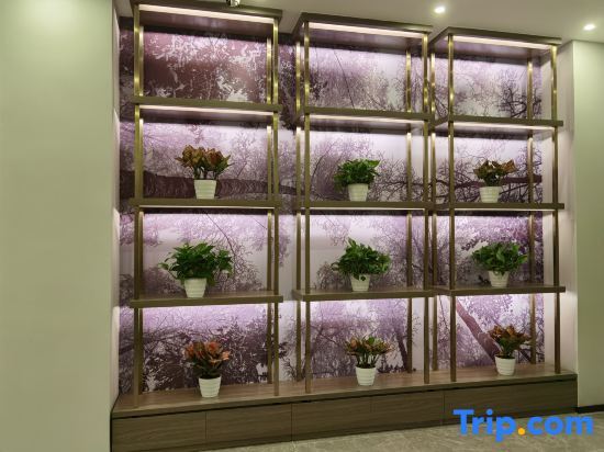 Дунгуань: 7 Days Youpin Hotel Dongguan Yongshanda Street Shop
