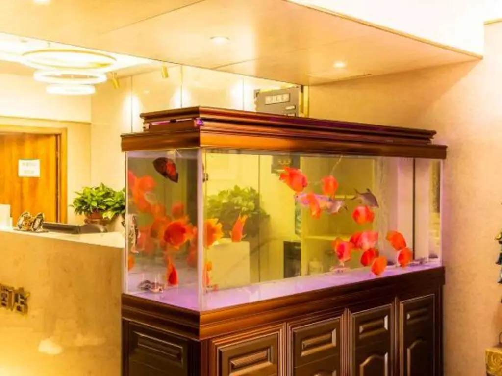 Тяньцзинь: Junheyi Express Hotel