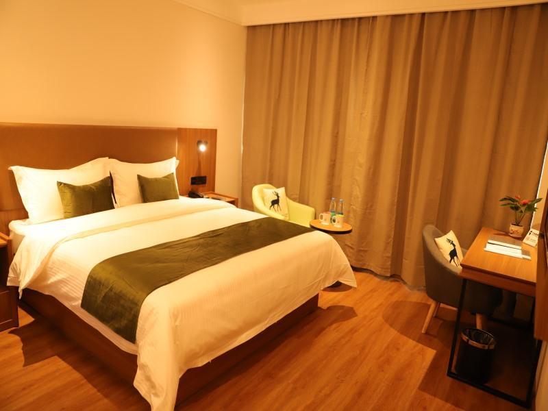 Ланьчжоу: Greentree Hotel (Lanzhou Zhongchuan Airport)