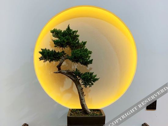Чжоукоу: Tianyi Journey Hotel (Zhoukou Huaiyang Aquarium)