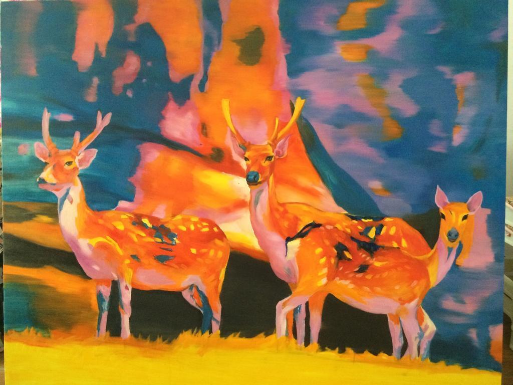 Сиань: Xi'an Dola Art Studio Hostel