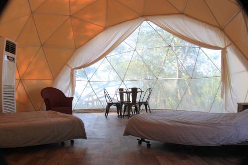 Гонконг: Saiyuen Camping Adventure Park