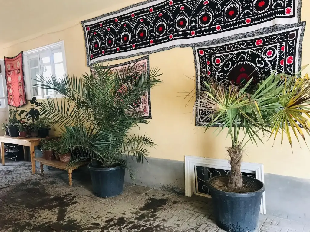 Самарканд: As-Salam Samarkand Hostel