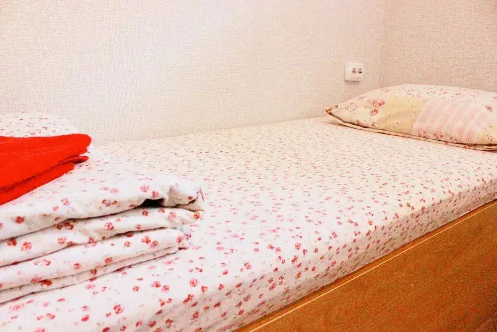 Тула: Hostel Viktoria