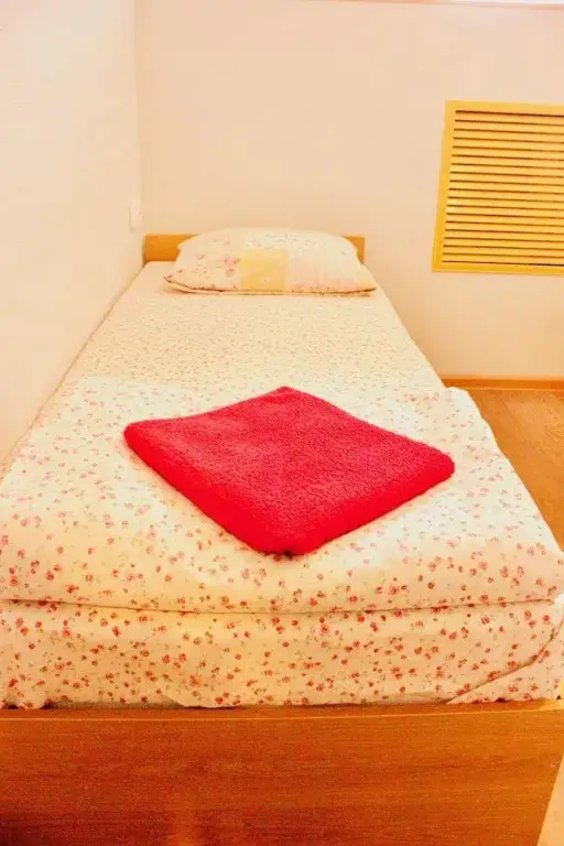 Тула: Hostel Viktoria