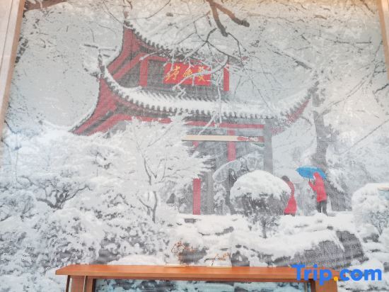 Чанша: Ascott Xiangjiang FFC Changsha